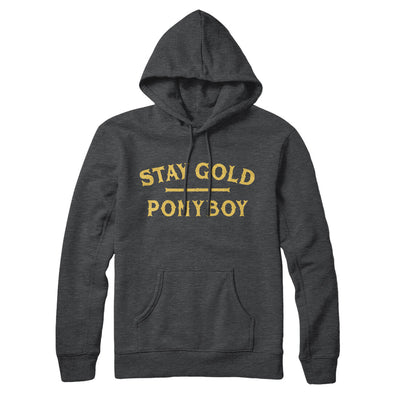 Stay Gold Ponyboy Hoodie Charcoal Heather | Funny Shirt from Famous In Real Life