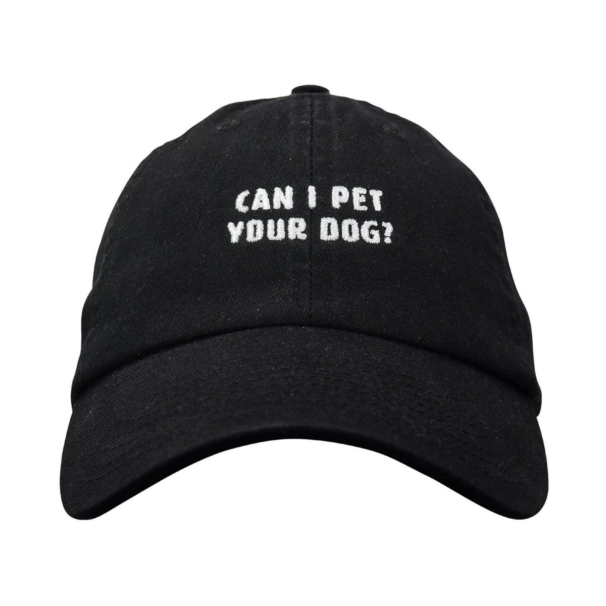 Can I Pet Your Dog? Dad hat - Famous IRL